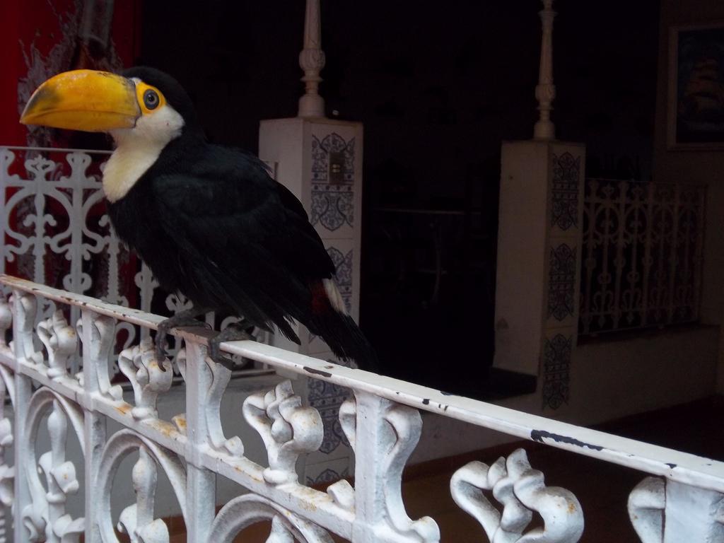 Pousada Do Mendonca Juiz de Fora Buitenkant foto