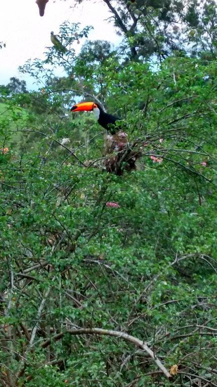 Pousada Do Mendonca Juiz de Fora Buitenkant foto