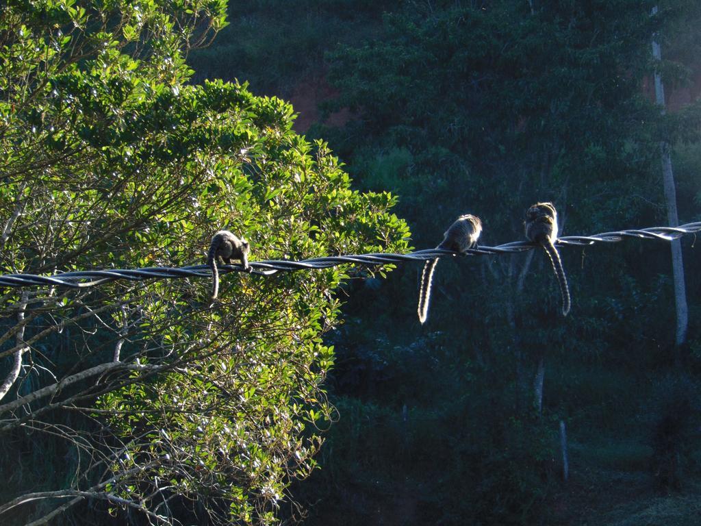 Pousada Do Mendonca Juiz de Fora Buitenkant foto